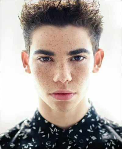 Quel a été son premier film ?