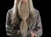 Test Aurais-tu pu remplacer Dumbledore  la direction de Poudlard ?