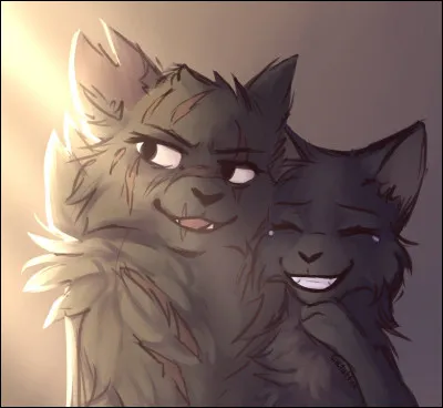 Qui sont ces deux chattes ?