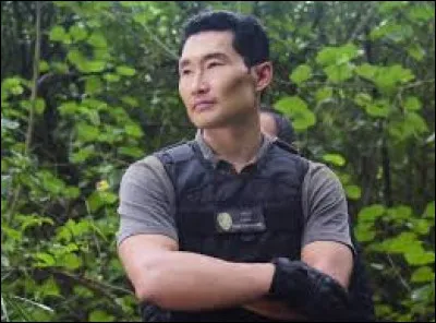 Dans quelle série peut-on voir Daniel Dae Kim ?