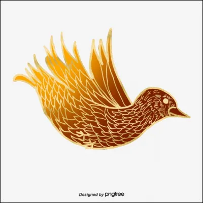 Quel animal volant préfères-tu ?