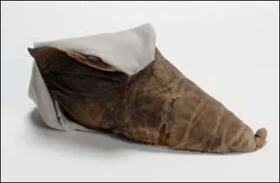 À ton avis quel est cet objet  ?