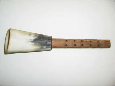 À ton avis, quel est cet objet  ?