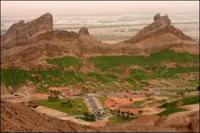 Trouvez le nom de cette oasis des Émirats arabes unis !