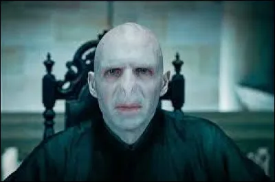 Que cherche Voldemort ?