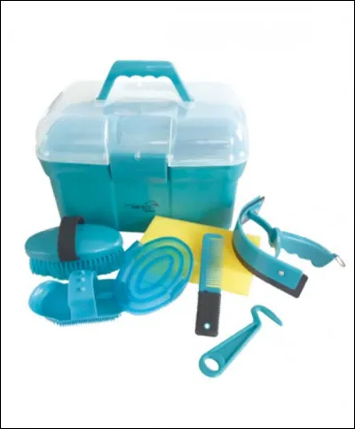 Dans quel ordre s'effectue le pansage ?