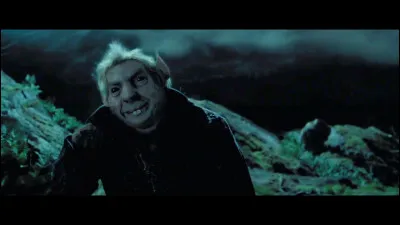 Si Pettigrow n'était pas un Animagus, Tom ne serait pas de retour dans Harry Potter 4. Valides-tu cette théorie ?