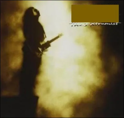 "The Extremist" est un des tous premiers albums du guitariste solo...