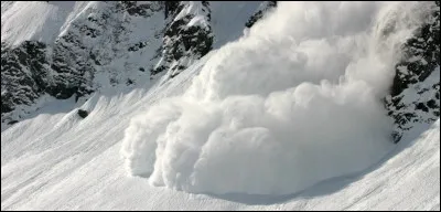 Le berger allemand est un chien de travail, utilisé comme ..., il est aussi capable de retrouver des rescapés victimes d'avalanche...