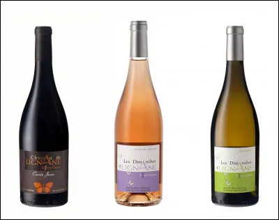 Pour qu'il soit apprécié à sa juste valeur, un vin doit être servi à "bonne température". Mais celle-ci varie selon les types de vins. Quelle association vin-température est ici inexacte ?