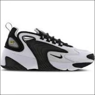 Quel est le nom de cette paire de chaussures ?