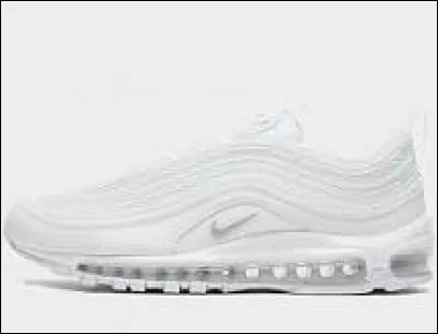 Quel est le nom de cette paire de chaussures ?