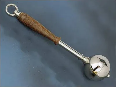 Le petit requinque, c'est le...