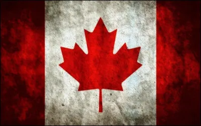 Qui possède ce drapeau ?