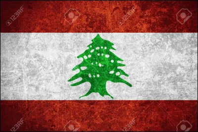 Qui possède ce drapeau ?