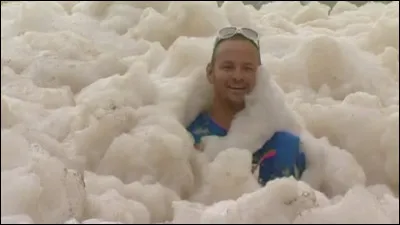 Si l'on évoque un marin gourmand, dans quelle phrase trouverait-on deux homonymes ?