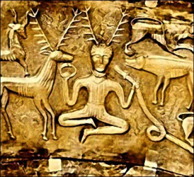 L'Écosse a un animal officiel qui, dans la mythologique celtique, incarnait l'innocence, la pureté, le pouvoir de guérison, de la joie et de la vie.
Quel est cet animal ?