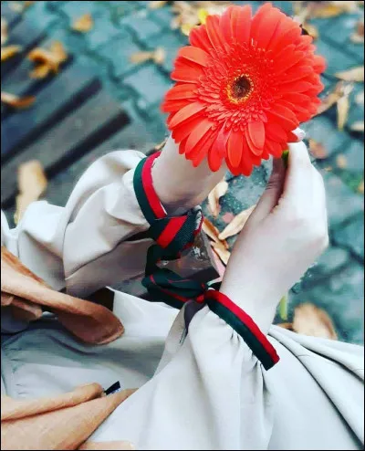 Quelle fleur était sur le drapeau français pendant la monarchie ?