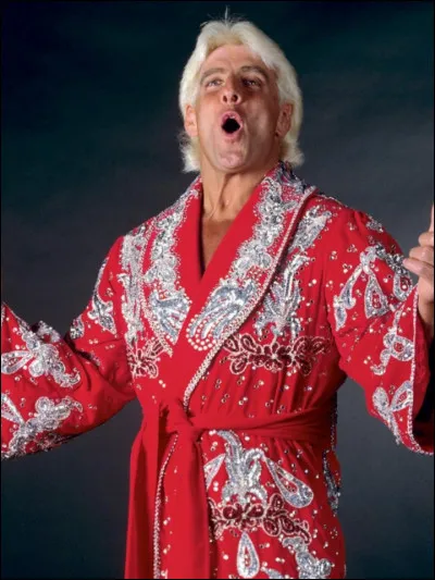 Qui est ce catcheur ?