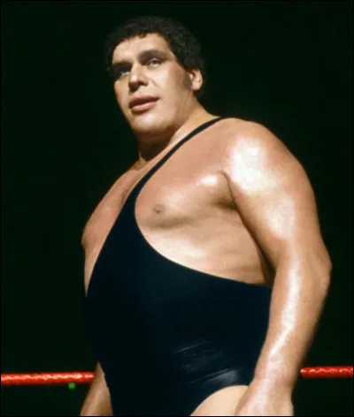 Qui est ce catcheur ?