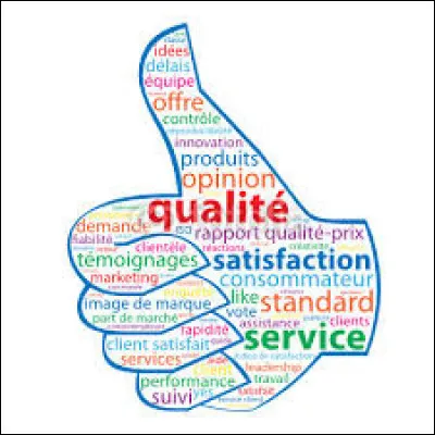 Quelle est votre principale qualit&eacute; ?