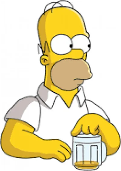 Quel âge a Homer ?