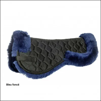 Tu es dans un magasin, au rayon &eacute;quitation, et une employ&eacute;e te pr&eacute;sente 2 amortisseurs : le 1er n'est pas tr&egrave;s beau mais agr&eacute;able pour le cheval et un peu plus cher, le 2e est magnifique, moins agr&eacute;able pour le cheval mais &agrave; un prix tr&egrave;s bas. Lequel prends-tu, sachant que les deux amortisseurs sont dans ton budget mais que tu pourrais t'acheter autre chose en plus si tu prenais le 2e ?