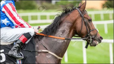 Tu t'entra&icirc;nes seul avec ton cheval (si tu n'en a pas, fais comme si) et tu vois qu'il commence &agrave; beaucoup transpirer. Que fais-tu ?