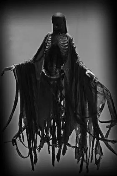 Comment s'appellent les créatures qui aspirent les bons souvenirs ?