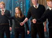 Test Test : qui est ton frre dans Harry Potter ?