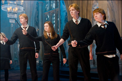 Si tu avais le choix, qui serait ton frère dans "Harry Potter" ?