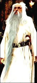 Il est le druide du village gaulois o habite Astrix :