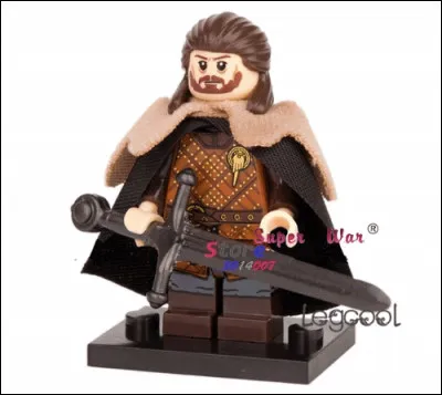 Considéré comme un bâtard, la vérité finira pourtant par éclater, et après avoir dirigé le mur du Nord, il deviendra roi !