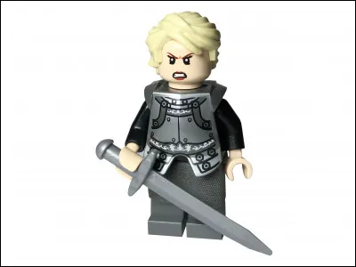 Son but : Protéger Sansa Stark de ses ennemis !