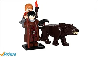 Bon, lui n'est pas une lumière, mais ce n'est pas ce qu'on lui demande, protéger Bran Stark, voilà sa mission !