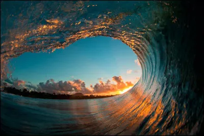 Quelle est ta plus belle particularité ?