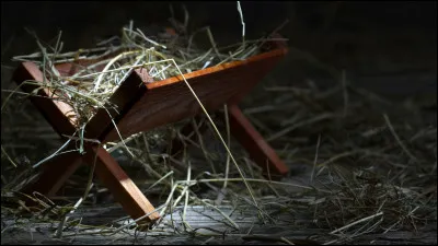 Qu'est-ce que tu préférerais manger dans des conditions extrêmes ?