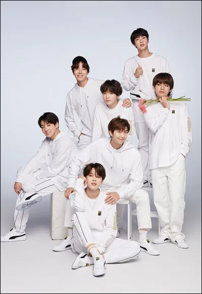 Quel est le nom cor&eacute;en des BTS ?