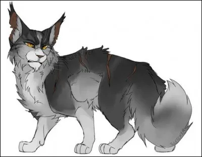 Qui est le chat sur l'image ?