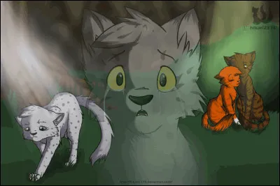 Qui sont les chats sur l'image ? ( il y en a un qui apparaît deux fois !)