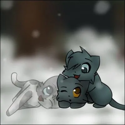 Qui sont les chats sur l'image ?