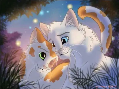 Qui sont les chats sur l'image ?