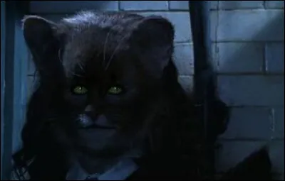 En qui Hermione veut-elle se transformer quand elle utilise le Polynectar ?