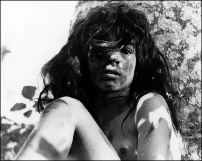 Qui est le réalistateur du film ''L'Enfant sauvage'' ?