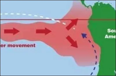 On connait le phénomène "El Niño" dans le Pacifique, mais existe-t-il des phénomènes similaires ailleurs dans le monde ?
