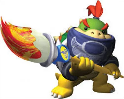 Quand est arrivé Bowser Jr. ?