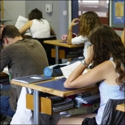 Quel travail &eacute;crit de fran&ccedil;ais est un exercice d'argumentation organis&eacute;e d'apr&egrave;s une probl&eacute;matique ?