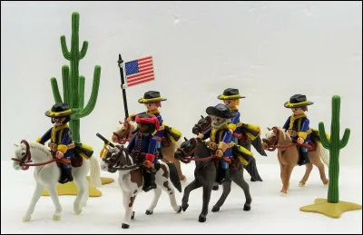 Quelle est l'affirmation exacte concernant les combattants de l'armée yankee ?