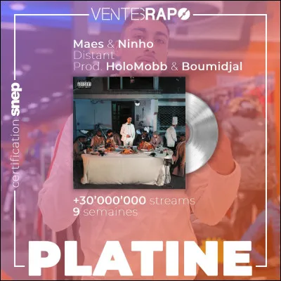 Avec qui Maes n'a-t-il jamais fait de collaboration ?