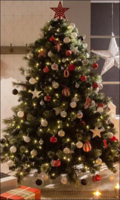 Comment dit-on un sapin ?